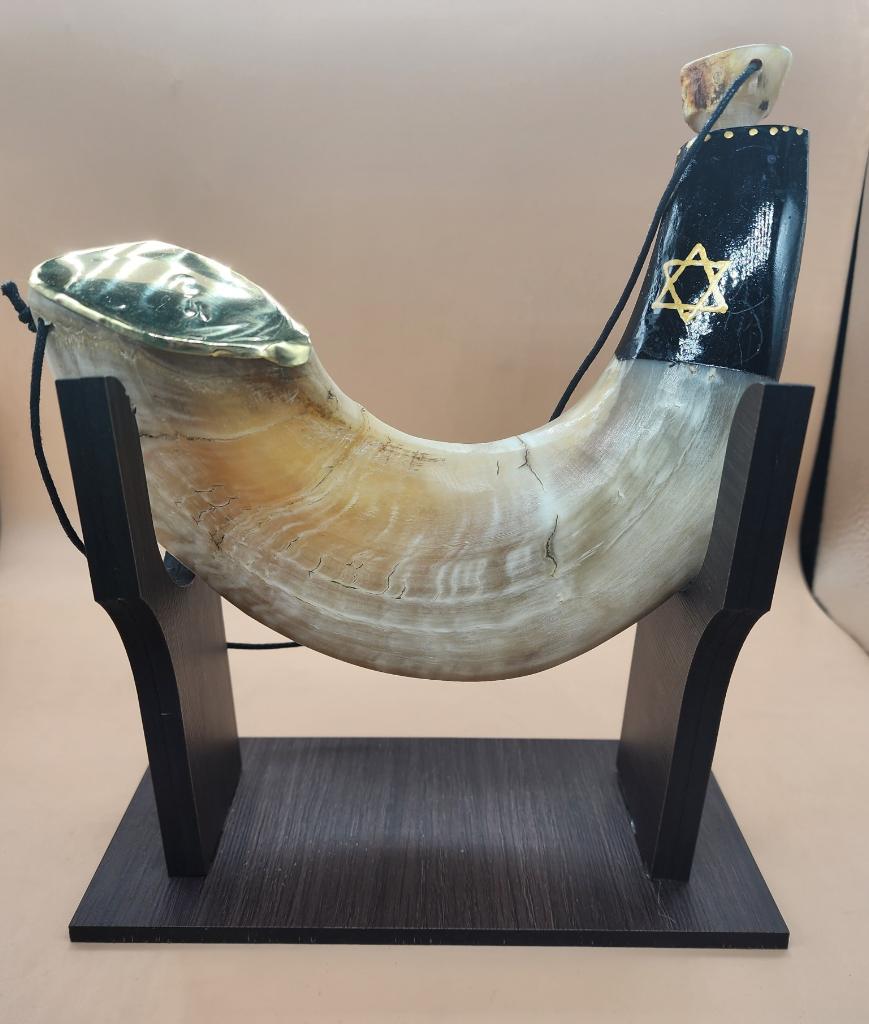 SHOFAR PORTADOR DE ACEITE