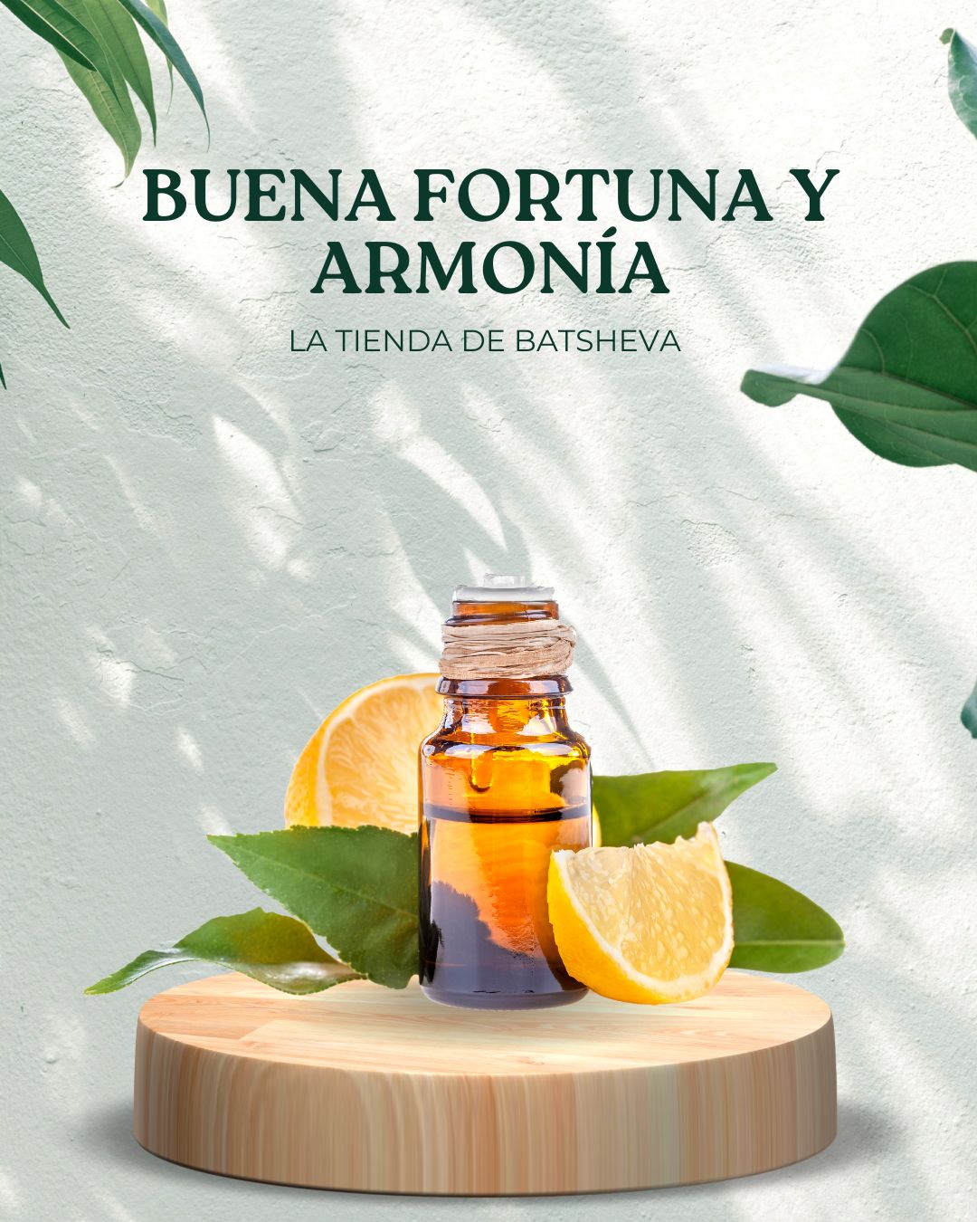 Buena Fortuna y Armonía