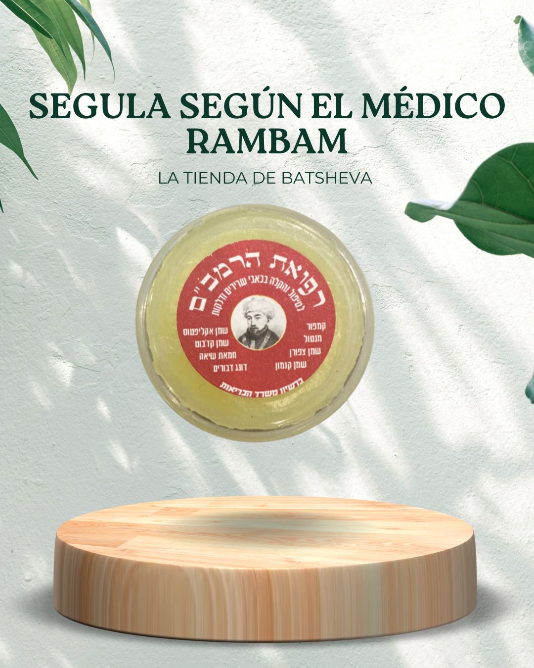 SEGULA SEGÚN EL MÉDICO RAMBAM