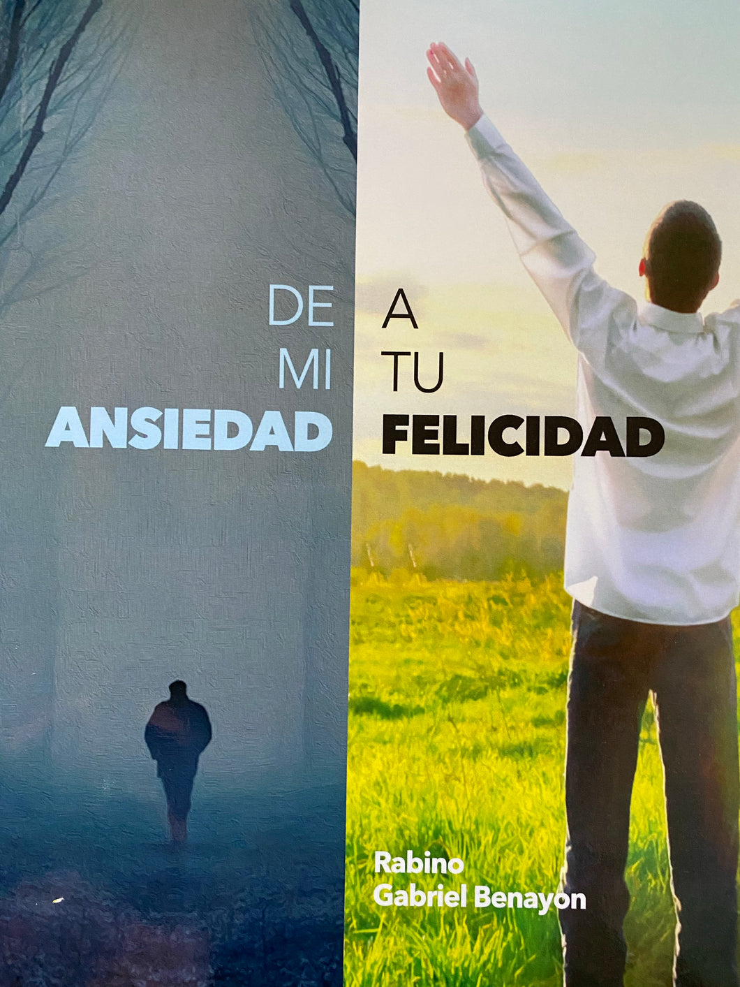 LIBRO DE MI ANSIEDAD A TU FELICIDAD