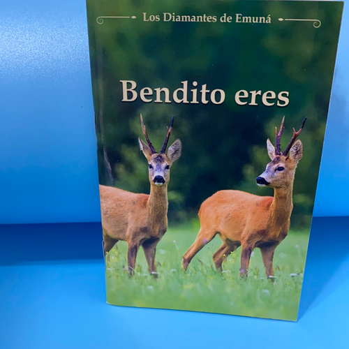 LIBRO “BENDITO ERES”